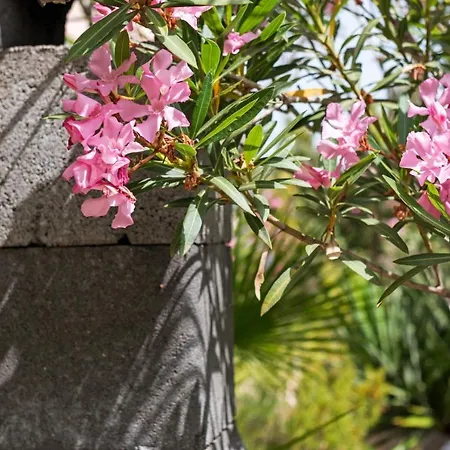 Casa Tzia Maria 奥罗塞伊